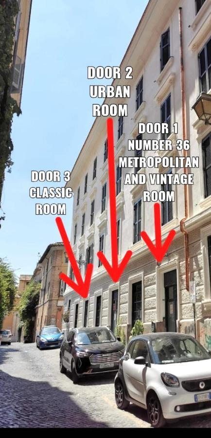 Trastevere Glasshouse Рим Экстерьер фото